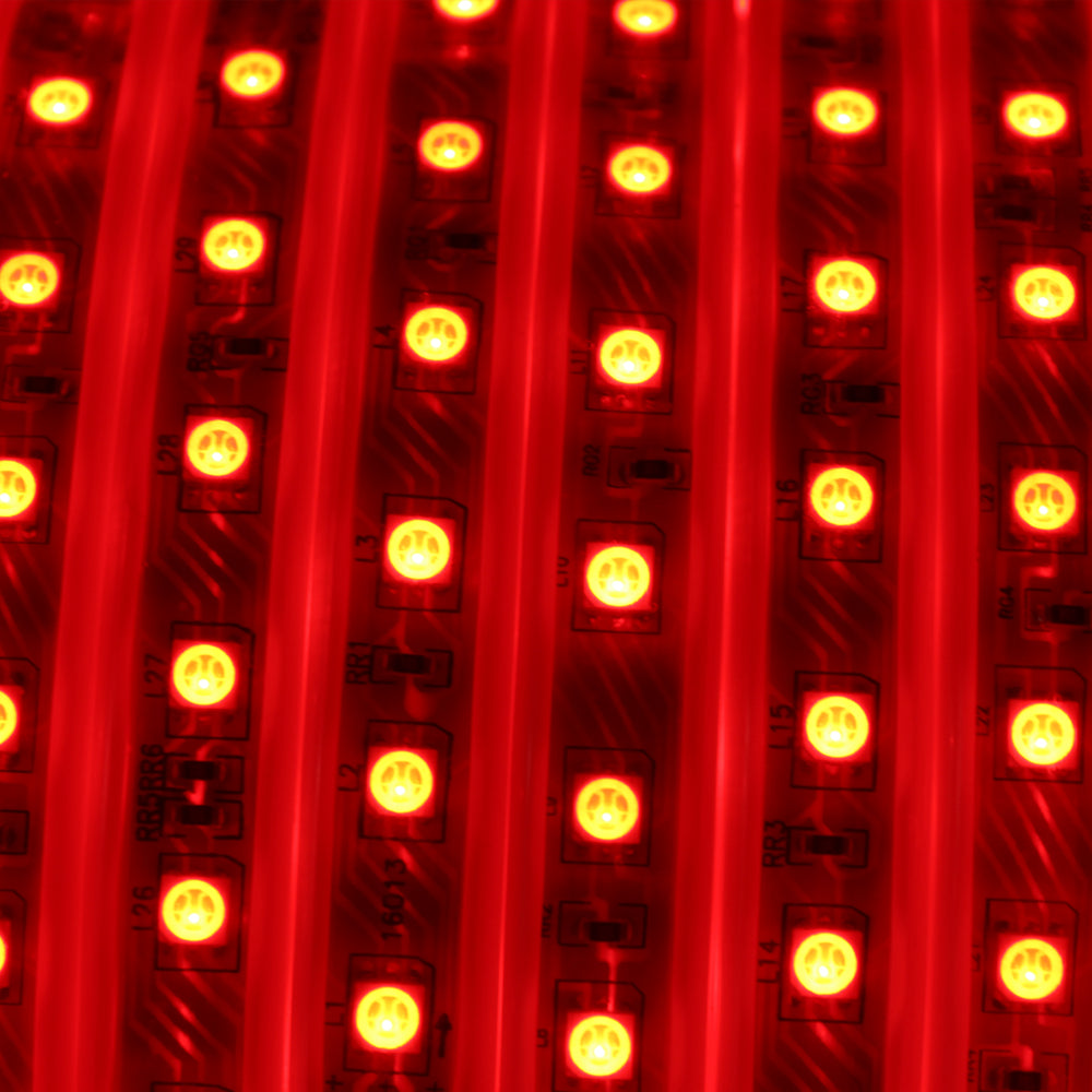 110V RGB Strip Light With 4 Pin Connector