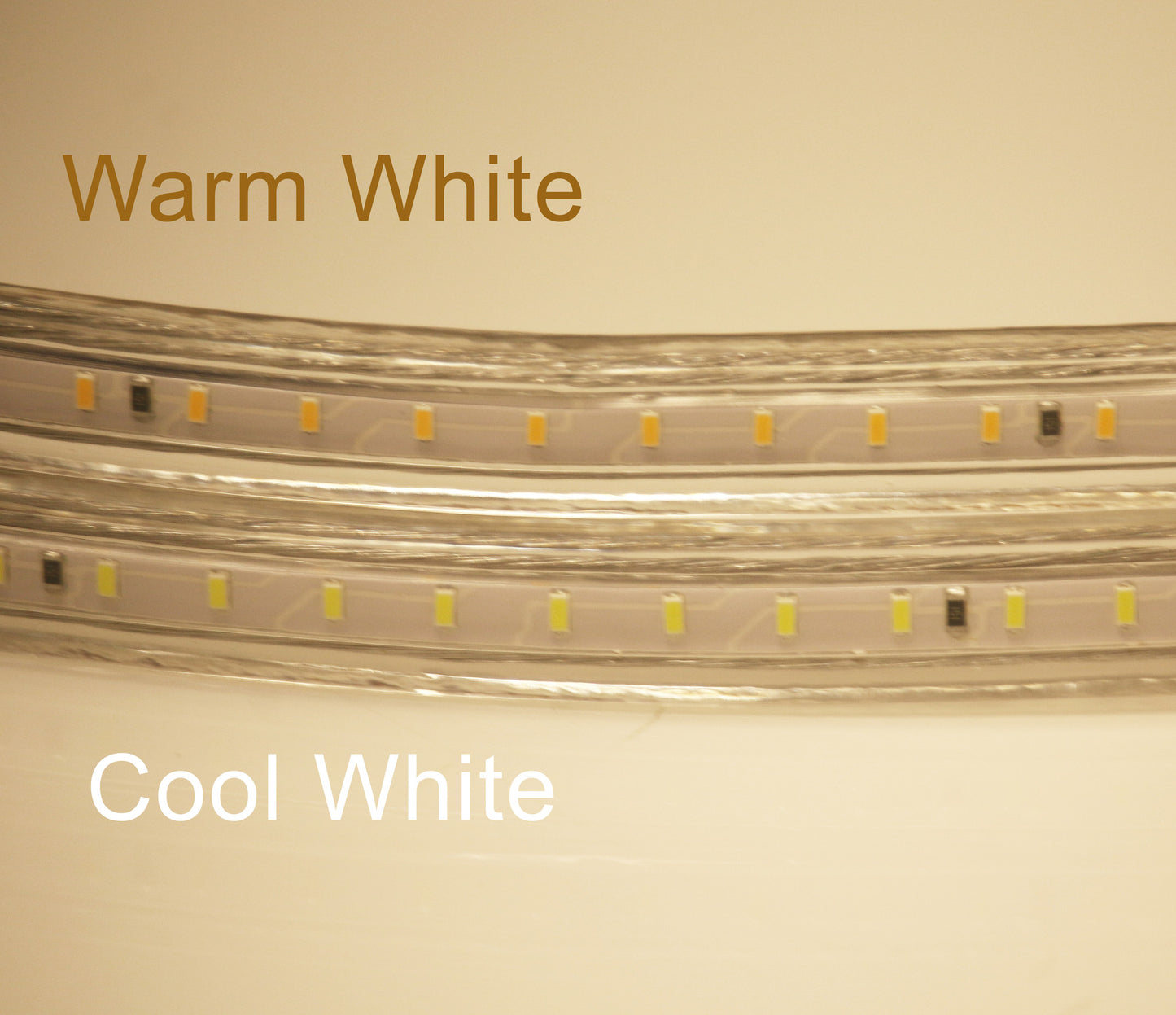 120V Strip Light SMD3014