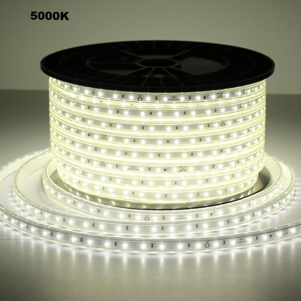 UL listed 110V SMD2835 LED strip light outdoor IP65 showing 5000K daylight white lighting on strip reel