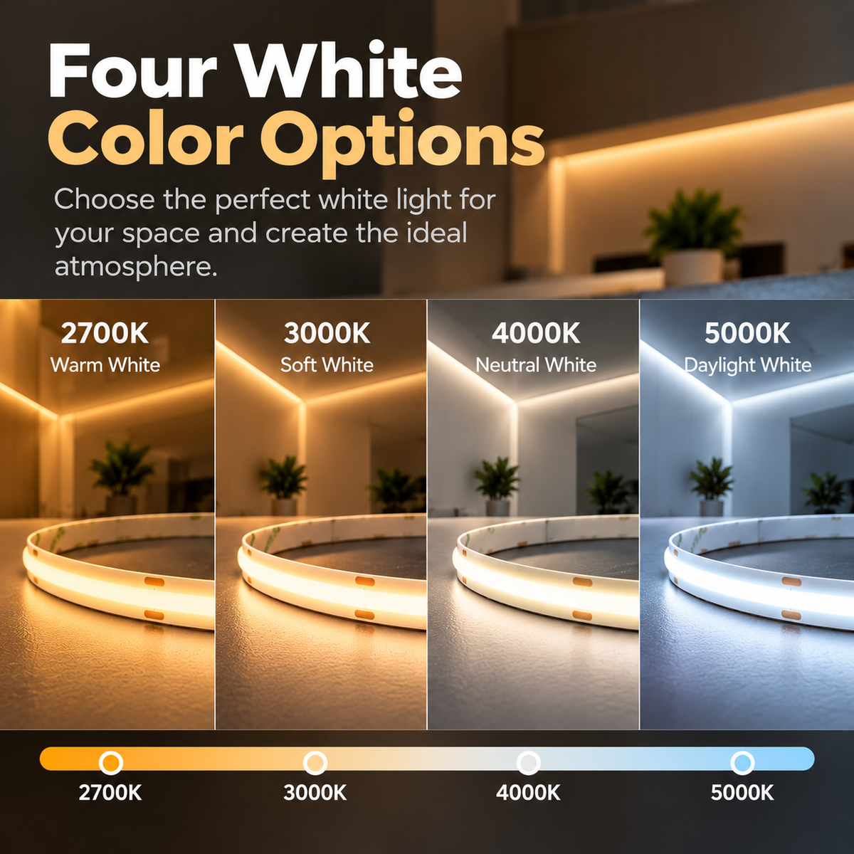 Ultra Slim FCOB LED Strip Light – 24V, 6.5mm – Dimmable – 2700K, 3000K, 4000K, 5000K – Dotless – IP20 – Indoor