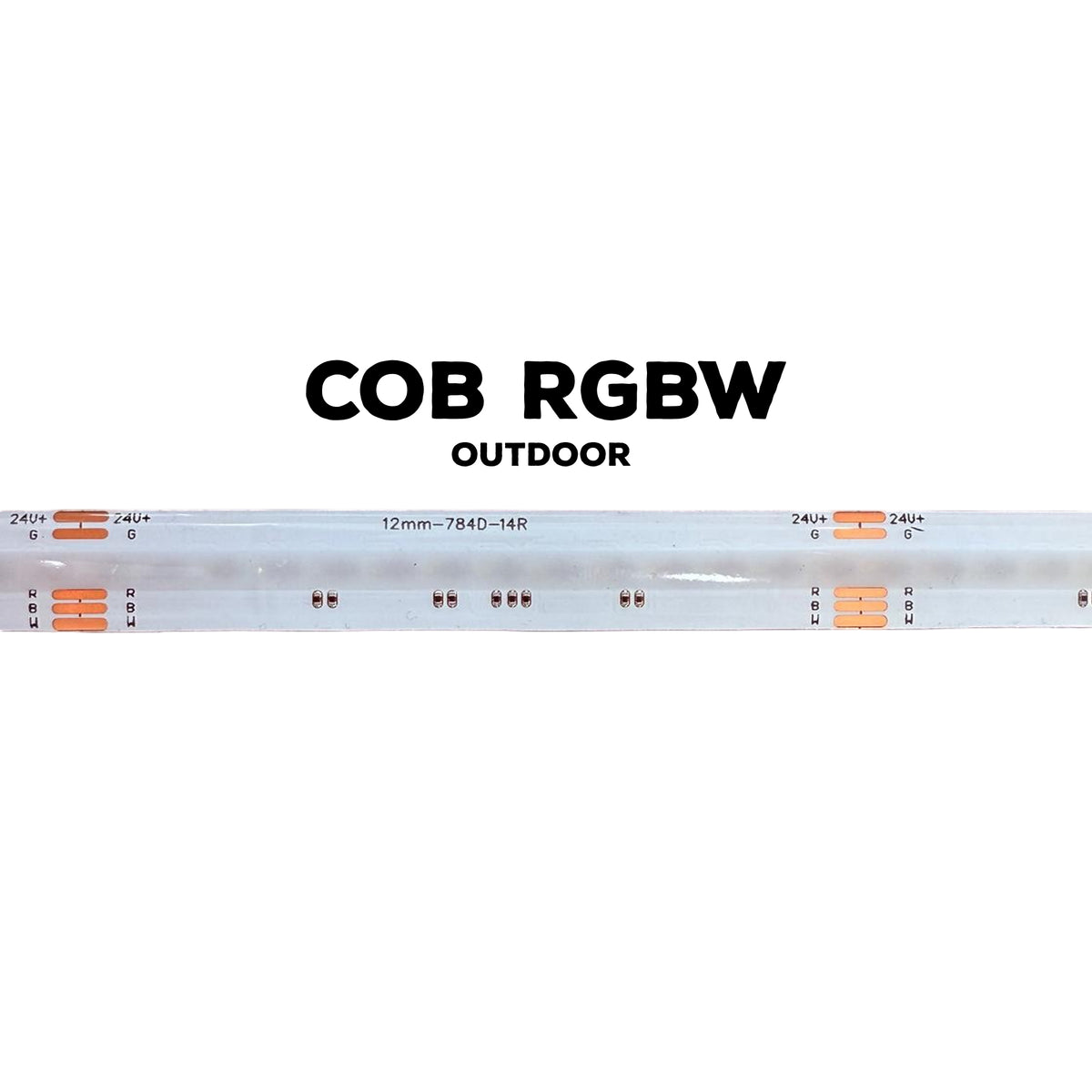 RGBW Outdoor COB LED Strip – Dotless – IP65 – 784 LEDs/m – UL Certified