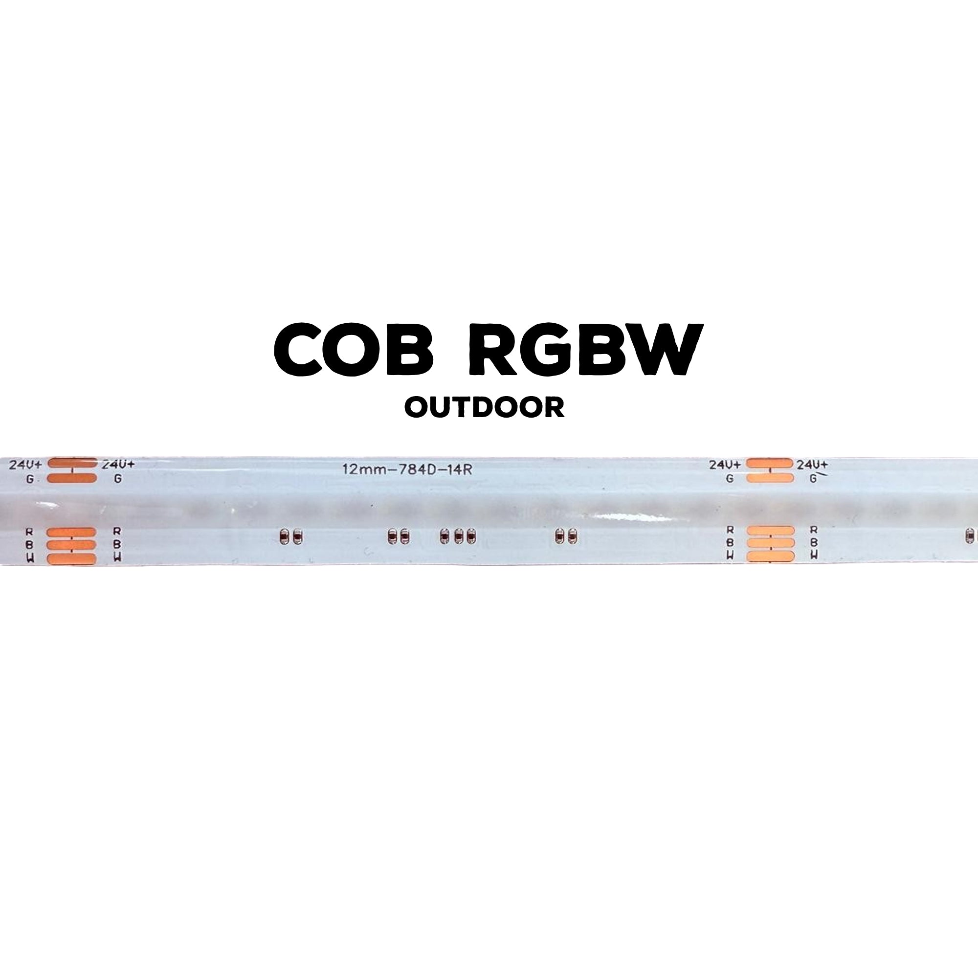 UL certified RGBW 24V 12mm COB LED strip light outdoor IP65 showing COB RGBW strip design with 784 LEDs per meter
