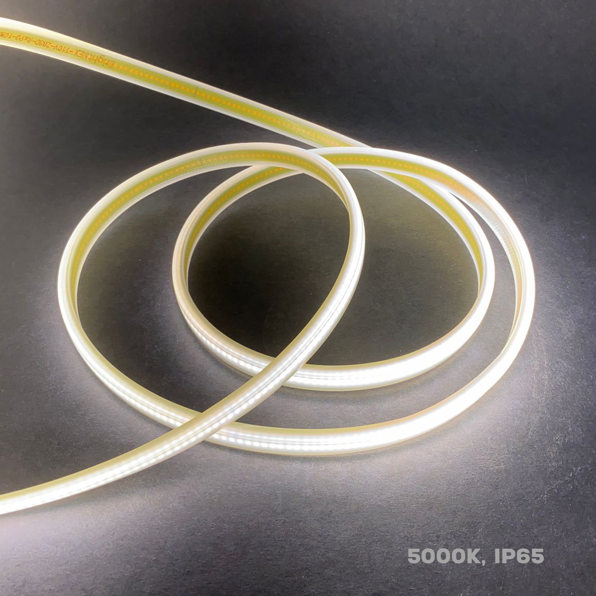 UL listed 110V COB LED strip light outdoor IP65 showing 5000K daylight color temperature dotless LED strip design