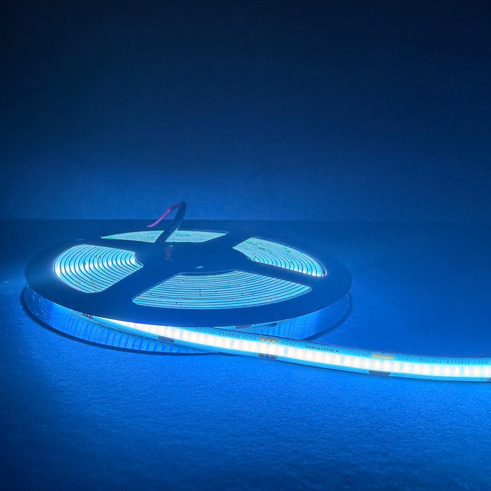 UL listed COB LED strip light 24V 8mm blue color showing LED strip reel with bright blue indoor linear illumination