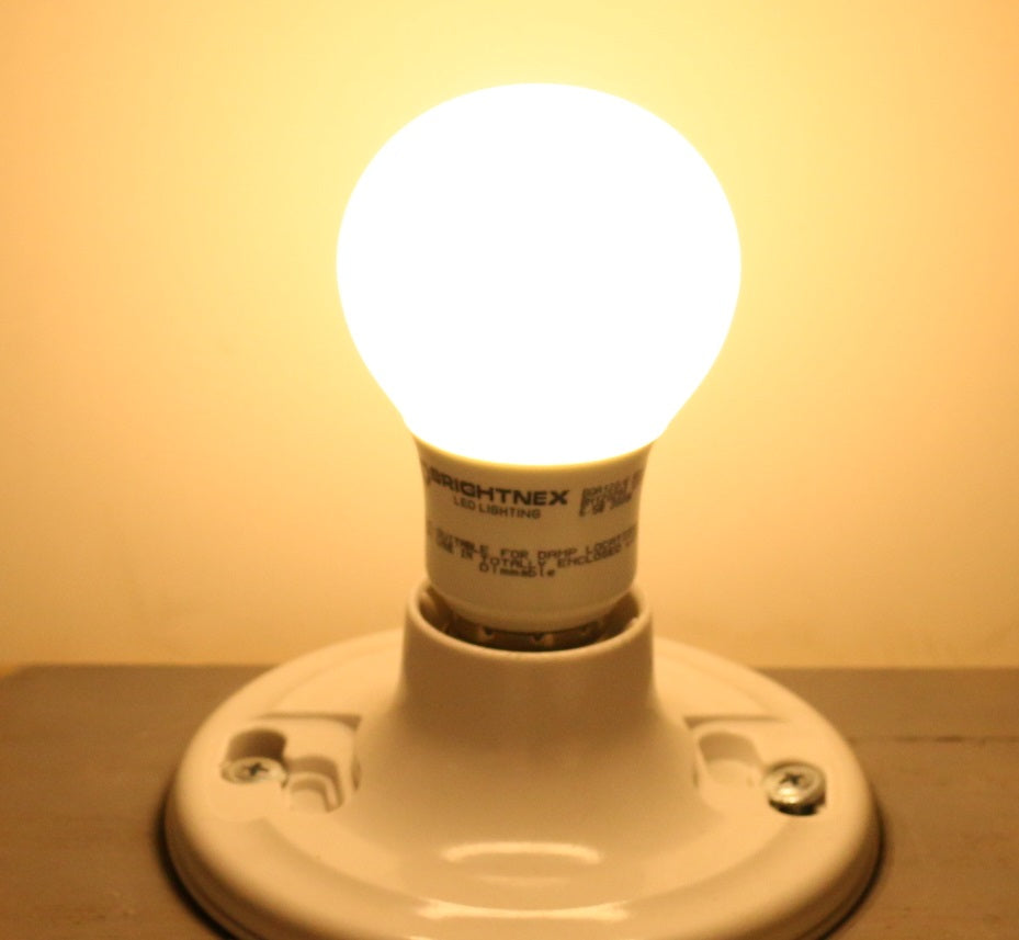 120V A19 LED Bulb