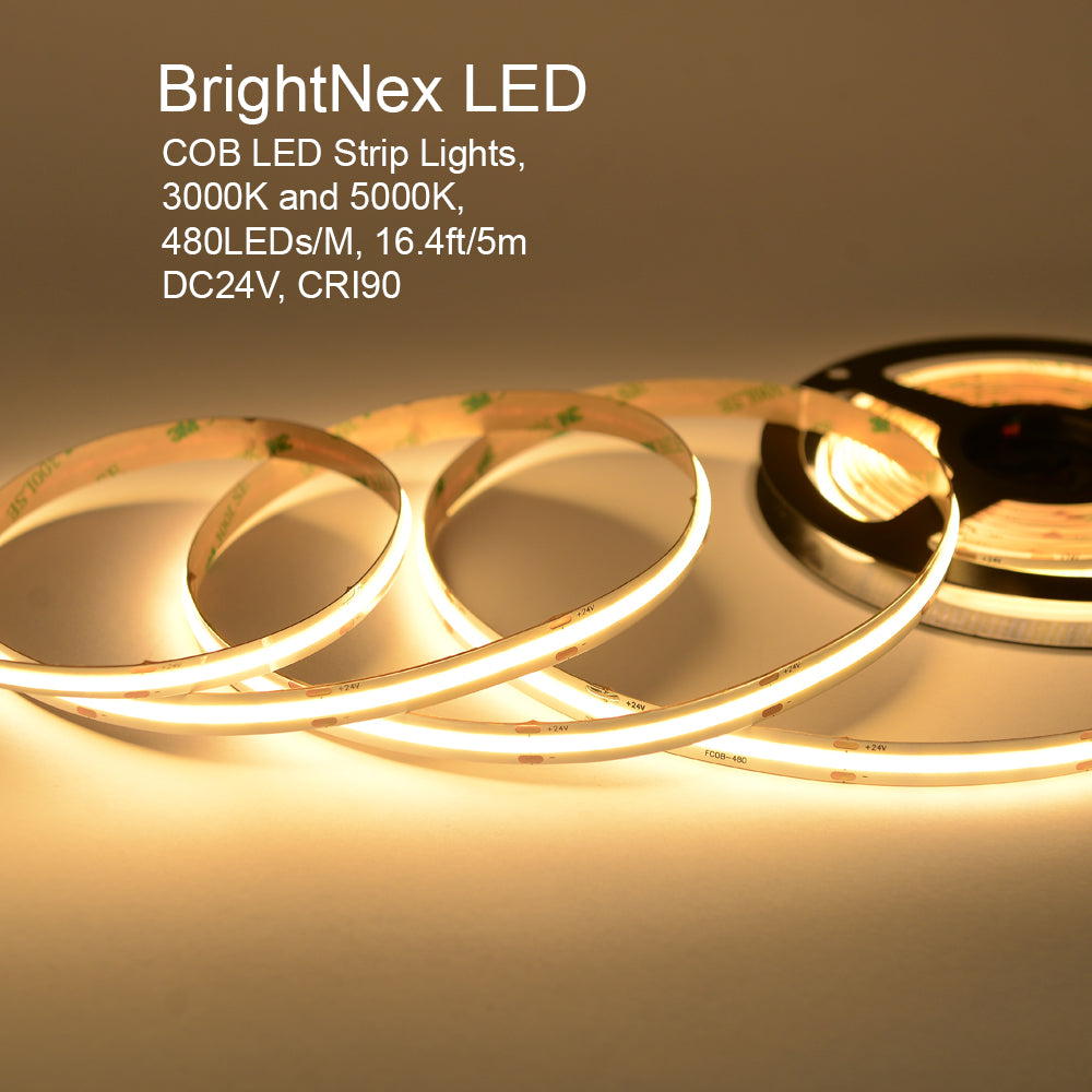 UL listed 24V 10mm COB LED strip light showing 3000K and 5000K options 480 LEDs per meter CRI90 flexible indoor LED strip